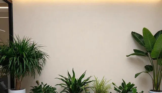 网站建设的重要性为何被忽视?