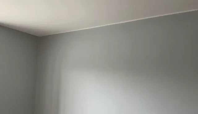 广州做网站选择专业设计团队的建议